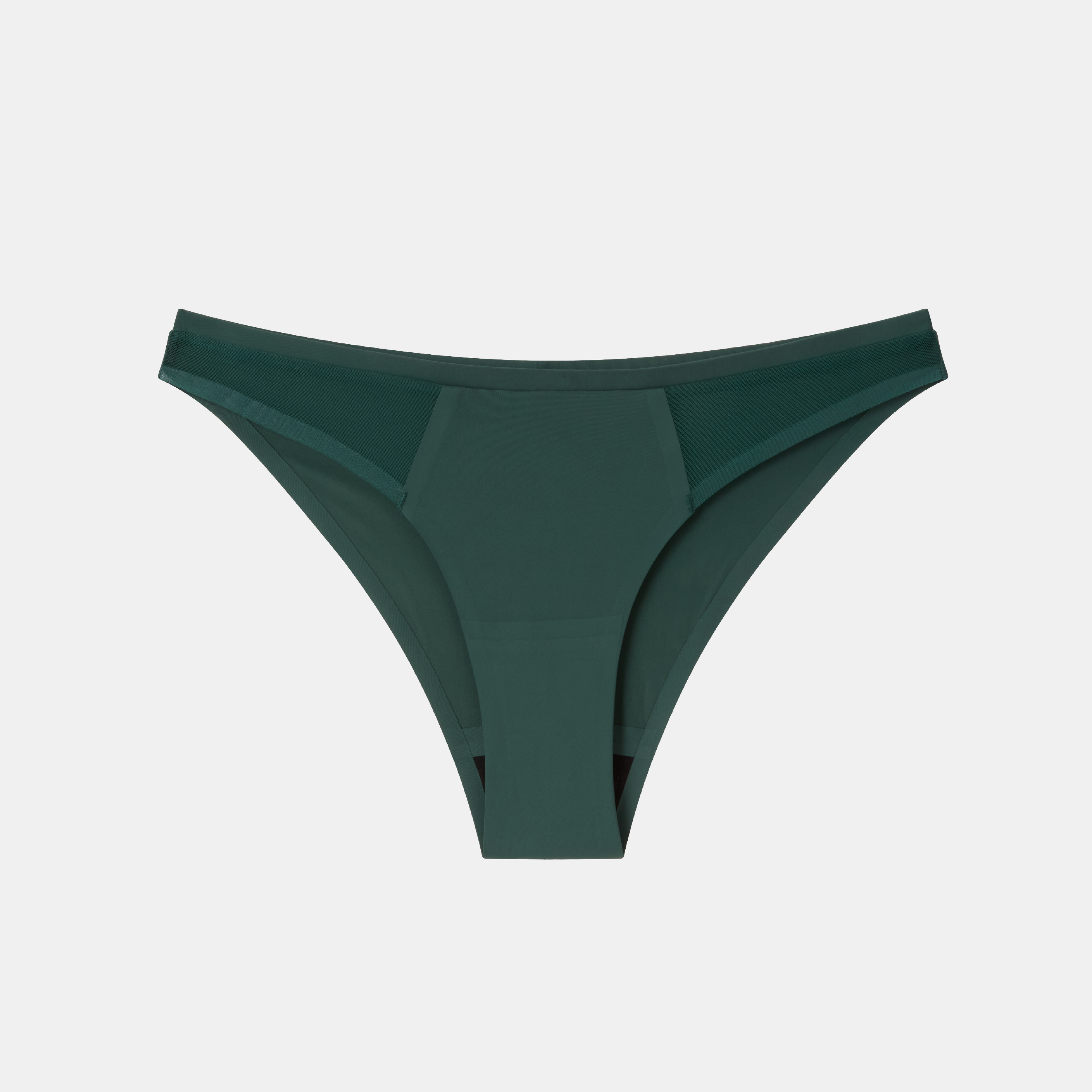Understatement Micro Period Bikini Briefs
