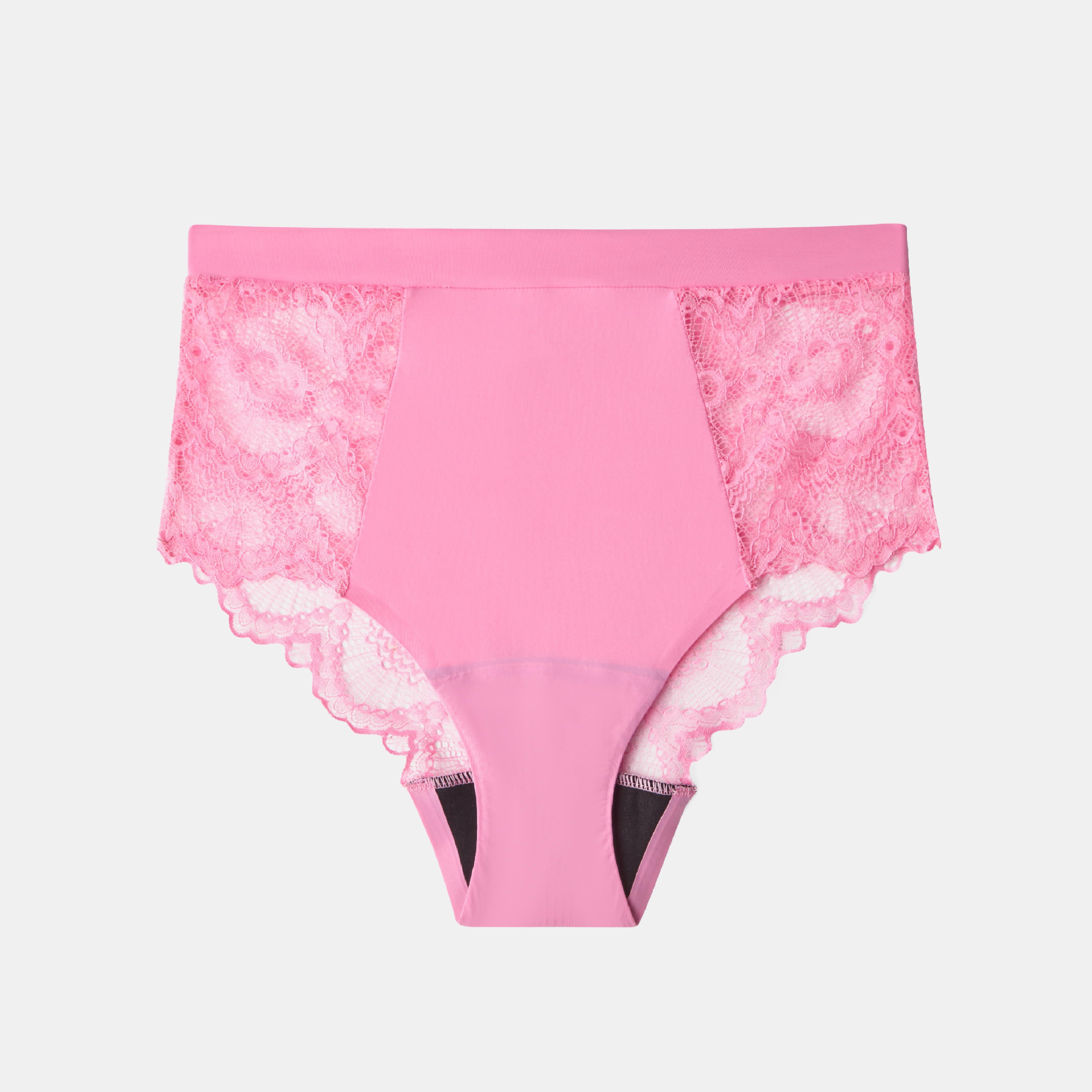 Understatement Lace Period Highwaist Briefs